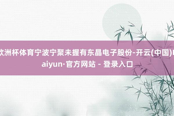 欧洲杯体育宁波宁聚未握有东晶电子股份-开云(中国)Kaiyun·官方网站 - 登录入口